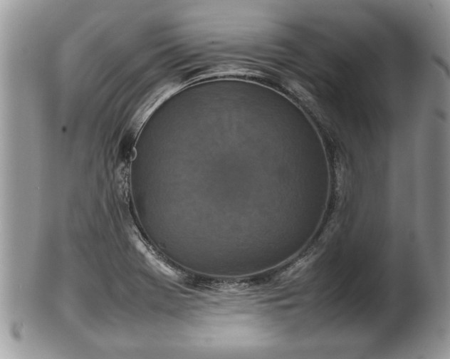 X0000101221369200807071337