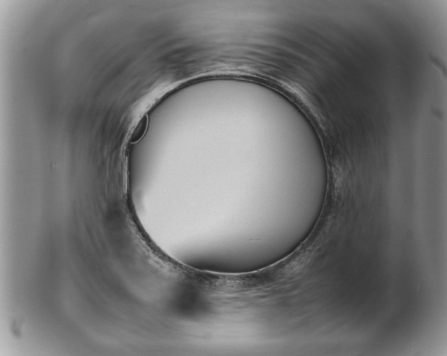 X0000101221371200807071337