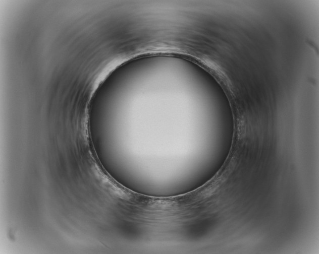X0000101221374200807071337