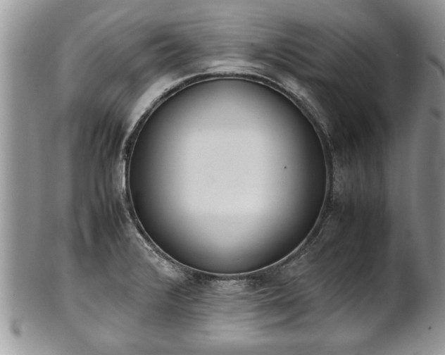 X0000101221376200807071337