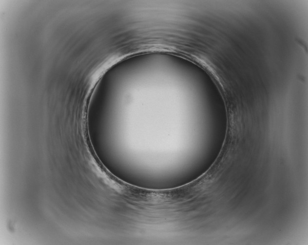 X0000101221379200807071337
