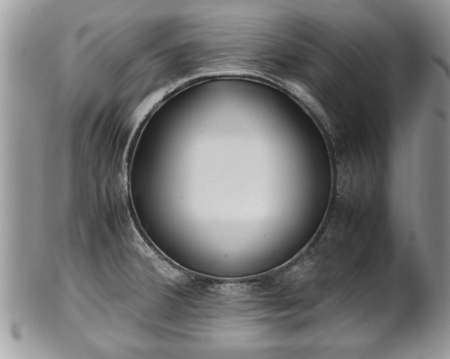 X0000101221380200807071337
