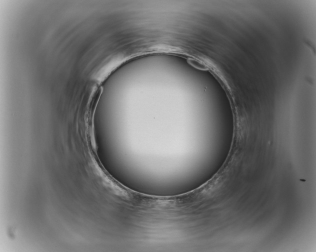 X0000101221381200807071337