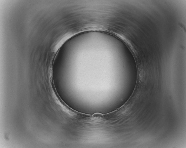X0000101221383200807071337