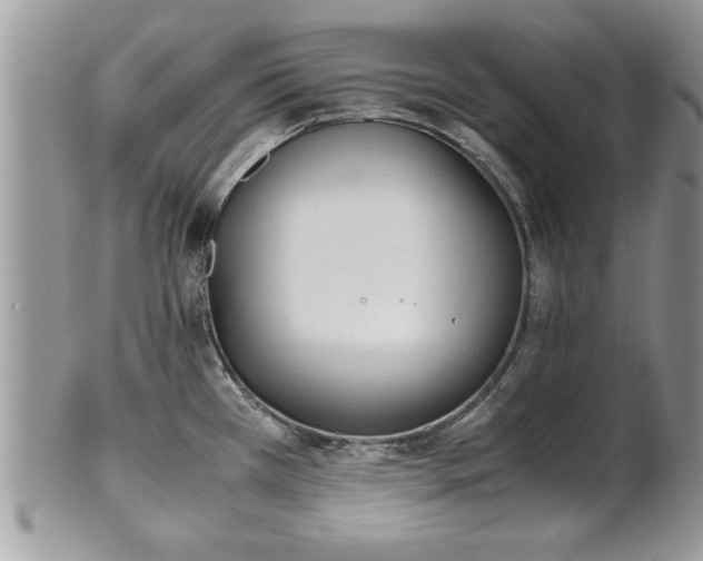 X0000101221385200807071337