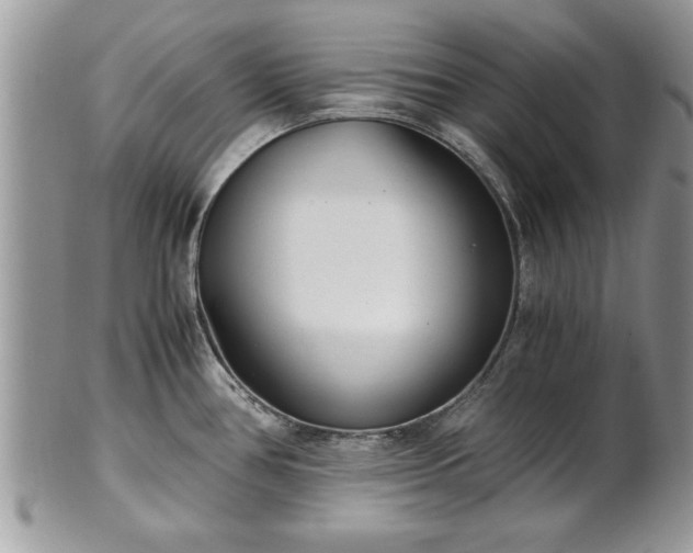 X0000101221386200807071337