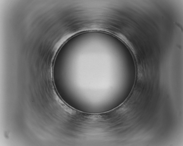 X0000101221388200807071337