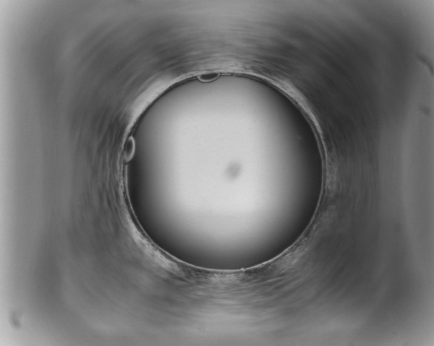 X0000101221389200807071337