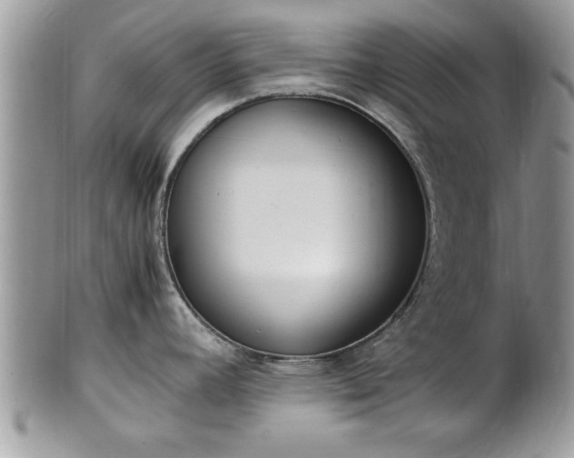 X0000101221392200807071337