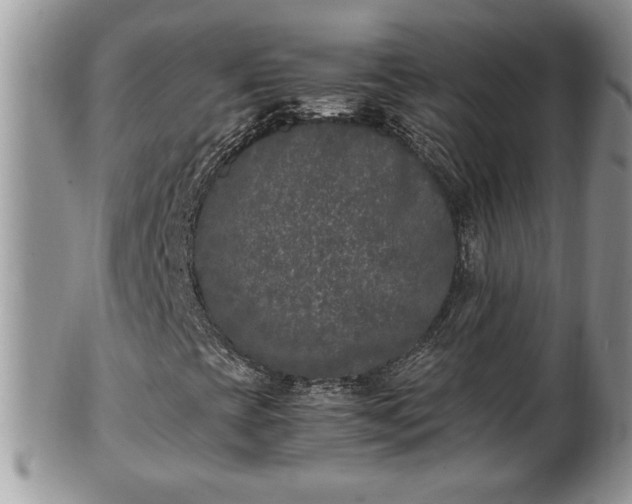 X0000101221393200807071336