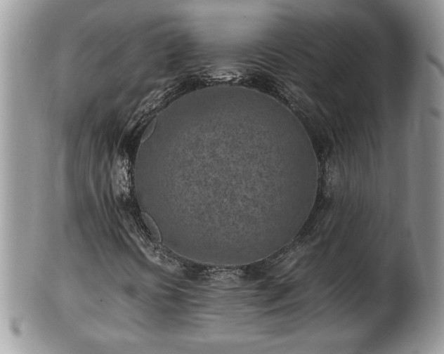 X0000101221394200807071336