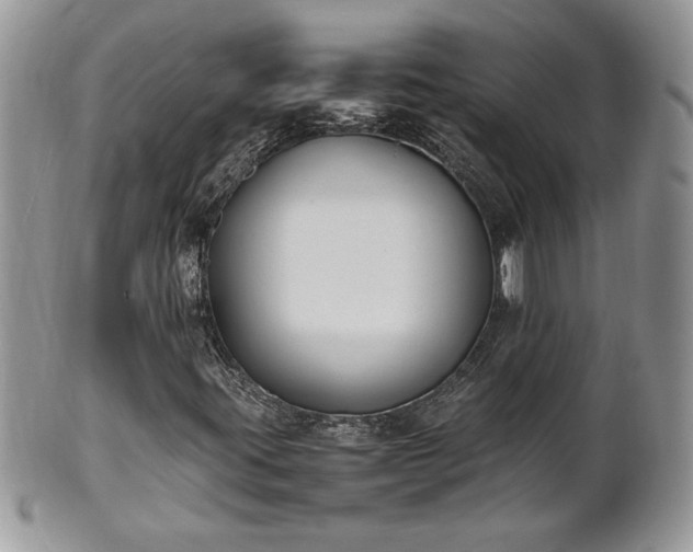 X0000101221395200807071336