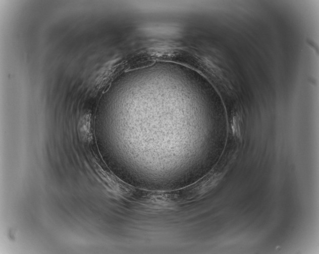 X0000101221396200807071336