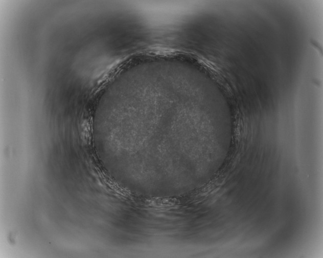 X0000101221397200807071336