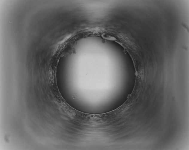 X0000101221398200807071336