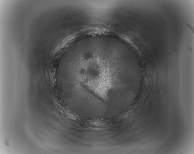 X0000101221399200807071336