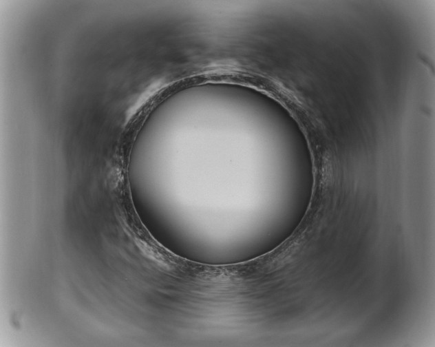 X0000101221400200807071336
