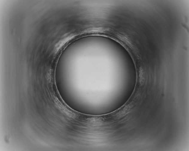 X0000101221404200807071336