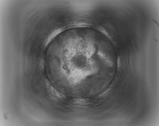 X0000101221405200807071336