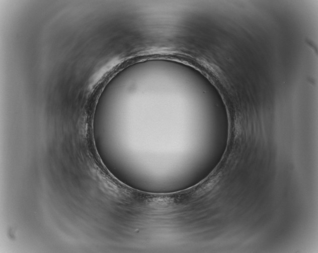X0000101221406200807071336