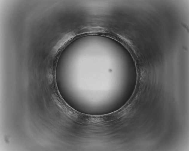 X0000101221407200807071336