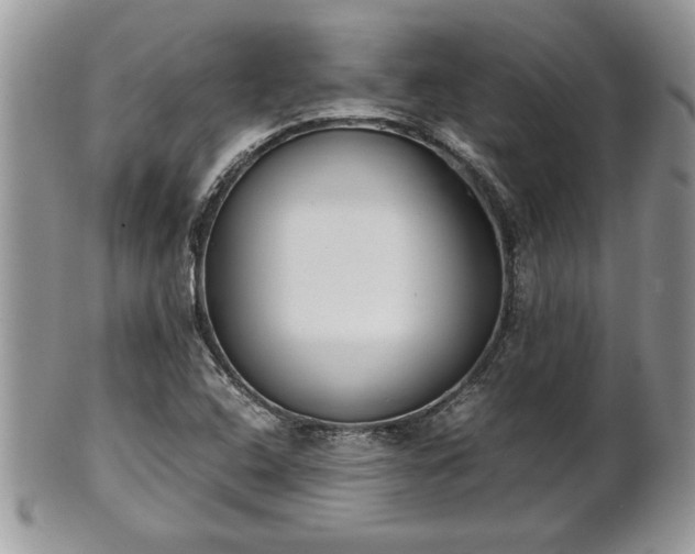 X0000101221408200807071336