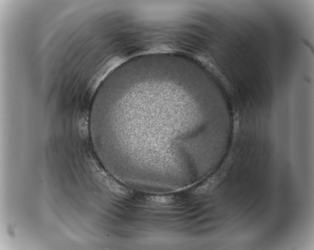 X0000101221409200807071336