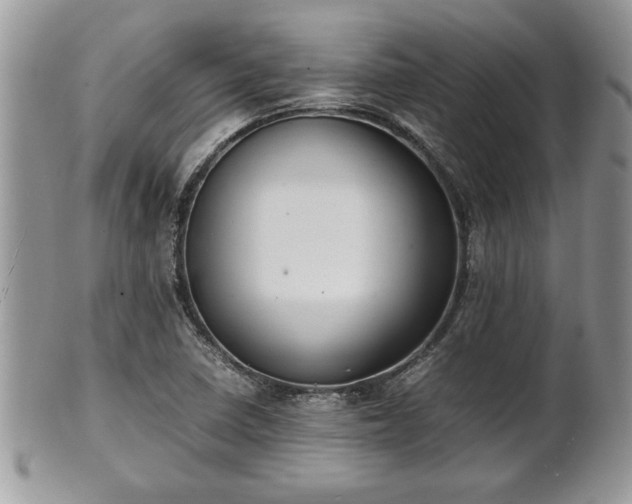 X0000101221410200807071336