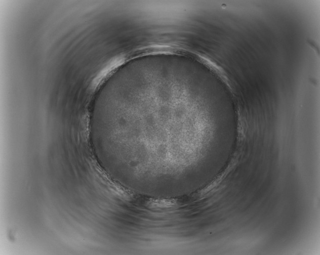 X0000101221411200807071336