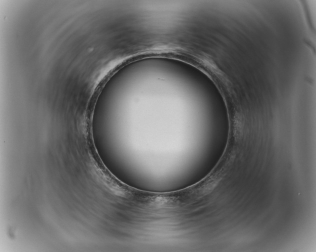 X0000101221412200807071336