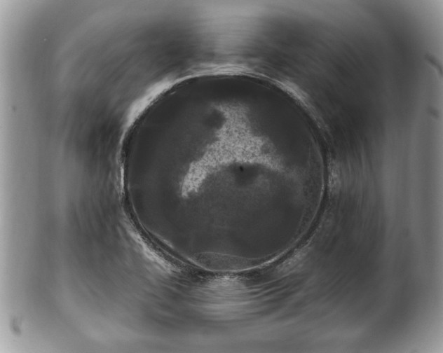 X0000101221414200807071336