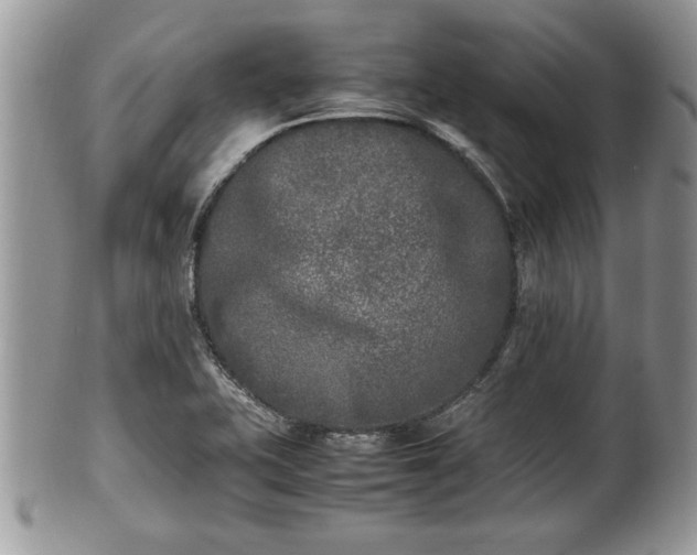 X0000101221415200807071336