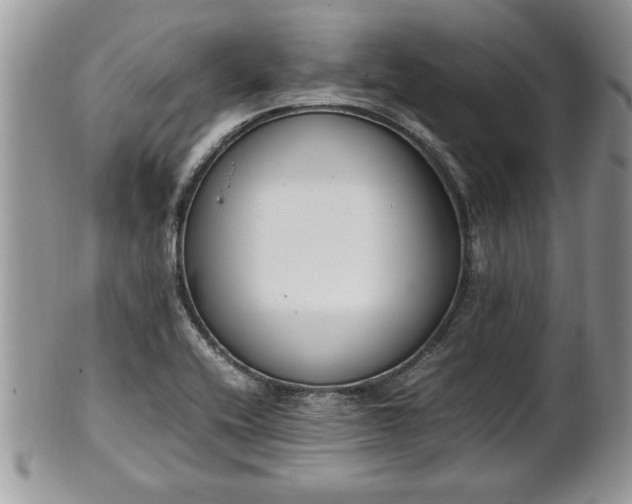 X0000101221416200807071336