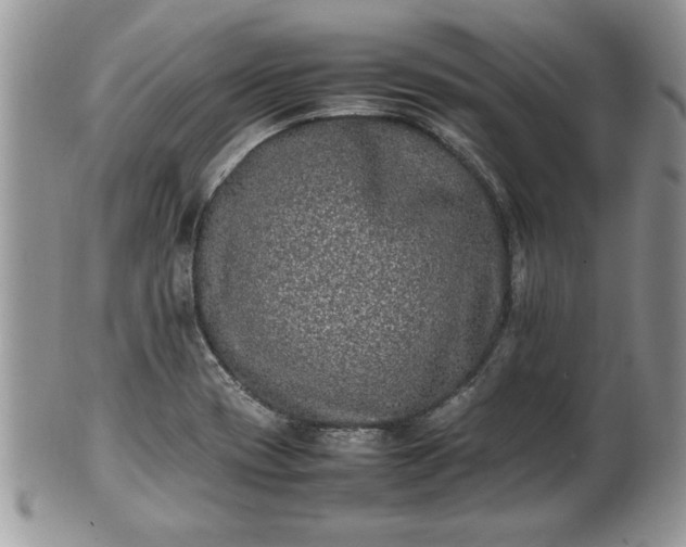 X0000101221417200807071336