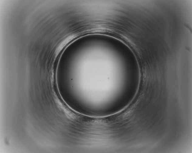 X0000101221418200807071336