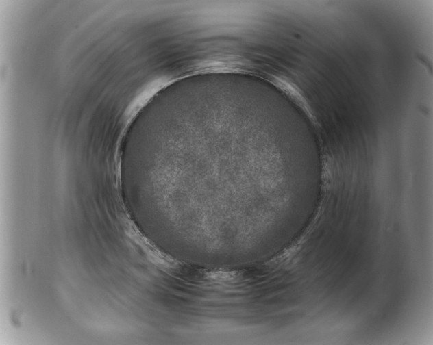 X0000101221419200807071336