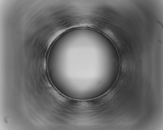 X0000101221420200807071336