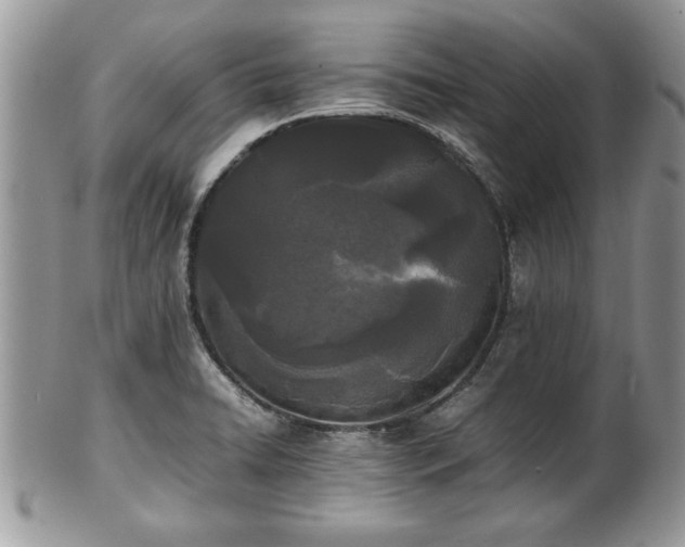 X0000101221422200807071336