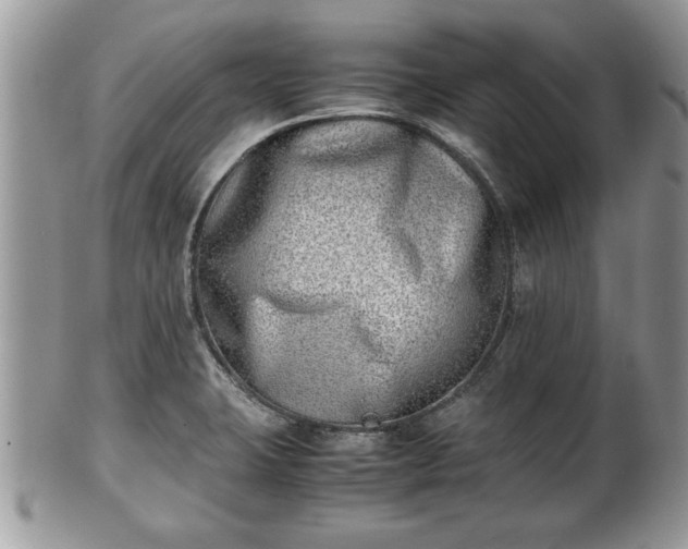 X0000101221423200807071336