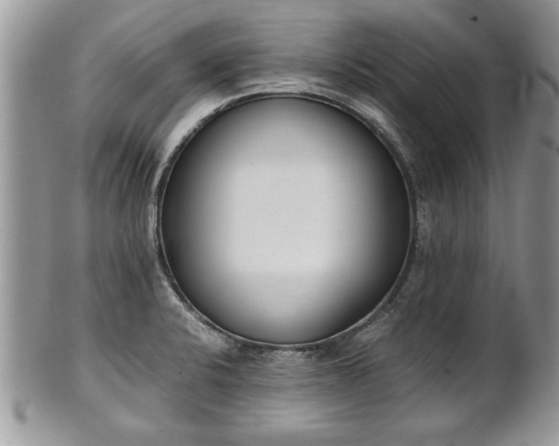 X0000101221424200807071336