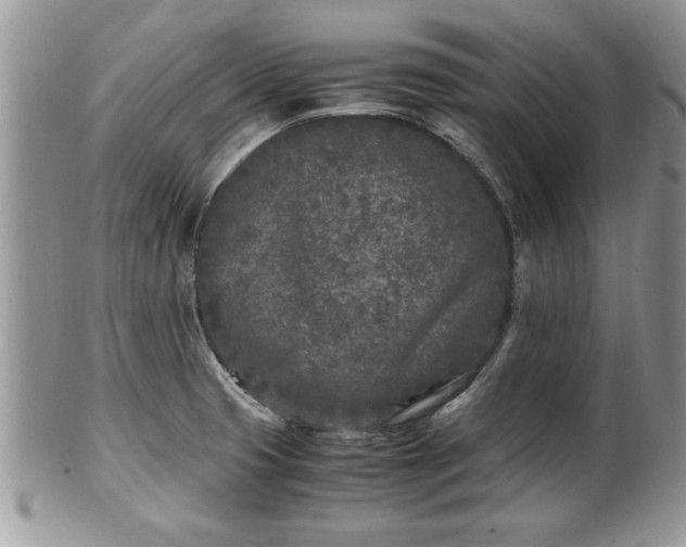 X0000101221425200807071337