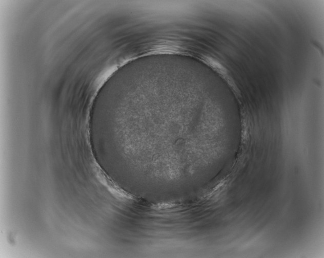 X0000101221427200807071337