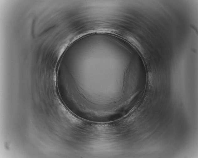 X0000101221428200807071337