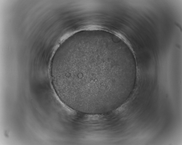 X0000101221429200807071337