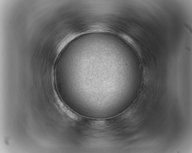 X0000101221431200807071337