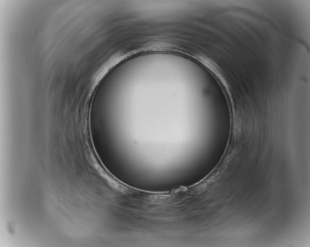 X0000101221437200807071337