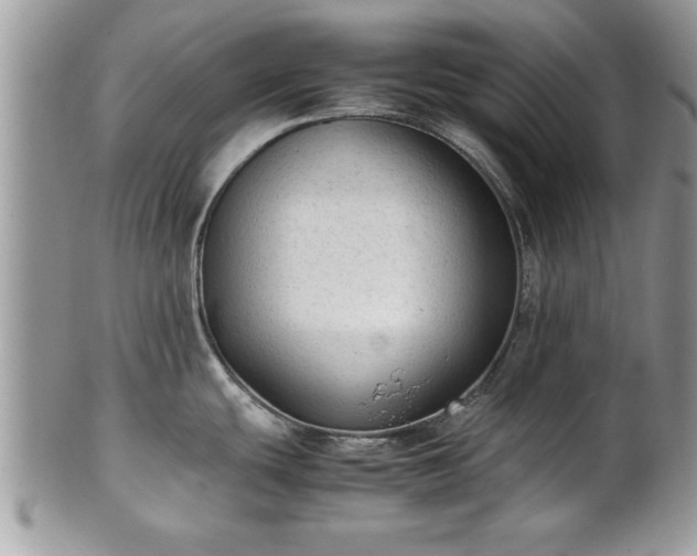 X0000101221439200807071337