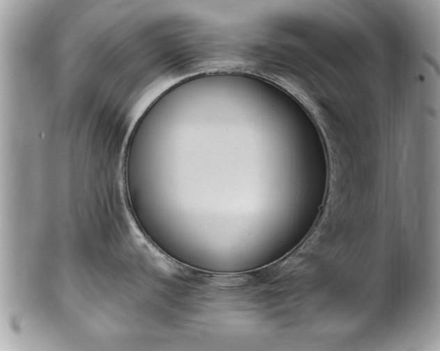 X0000101221440200807071337