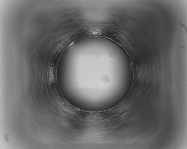 X0000101221442200807071336