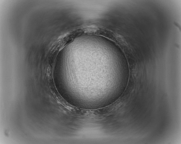 X0000101221445200807071336